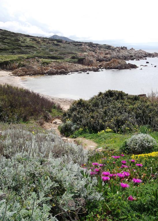 Villetta Cenni Santa Teresa Gallura Exterior foto