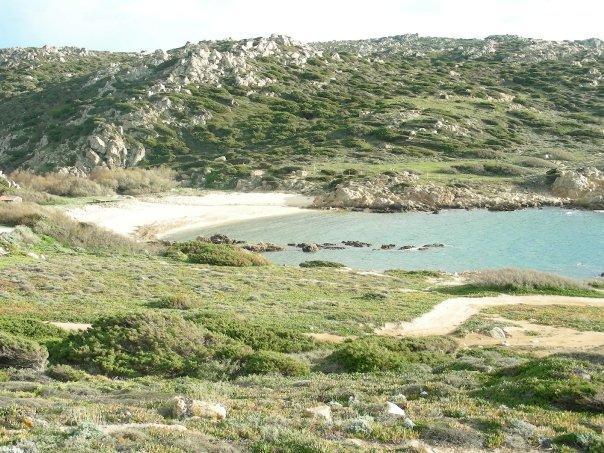 Villetta Cenni Santa Teresa Gallura Exterior foto